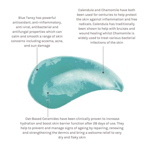 Blue Tansy Beauty Balm - Image 3